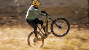 Electric Assist Bikes